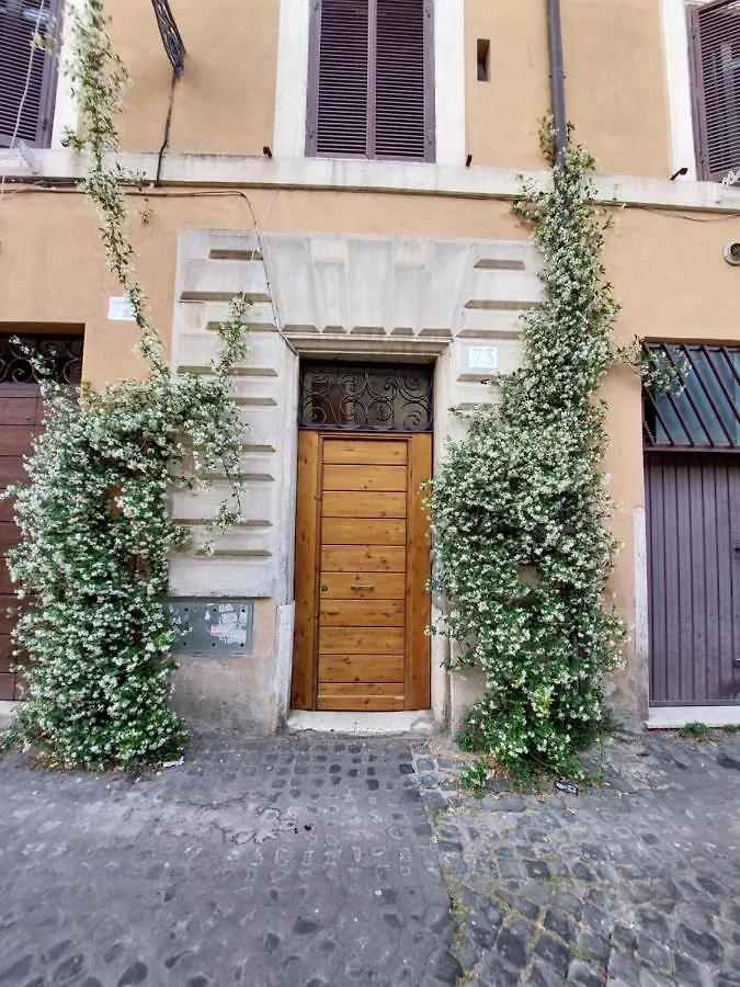 Trastevere In Bike - Con Wi-Fi E Ac Rome